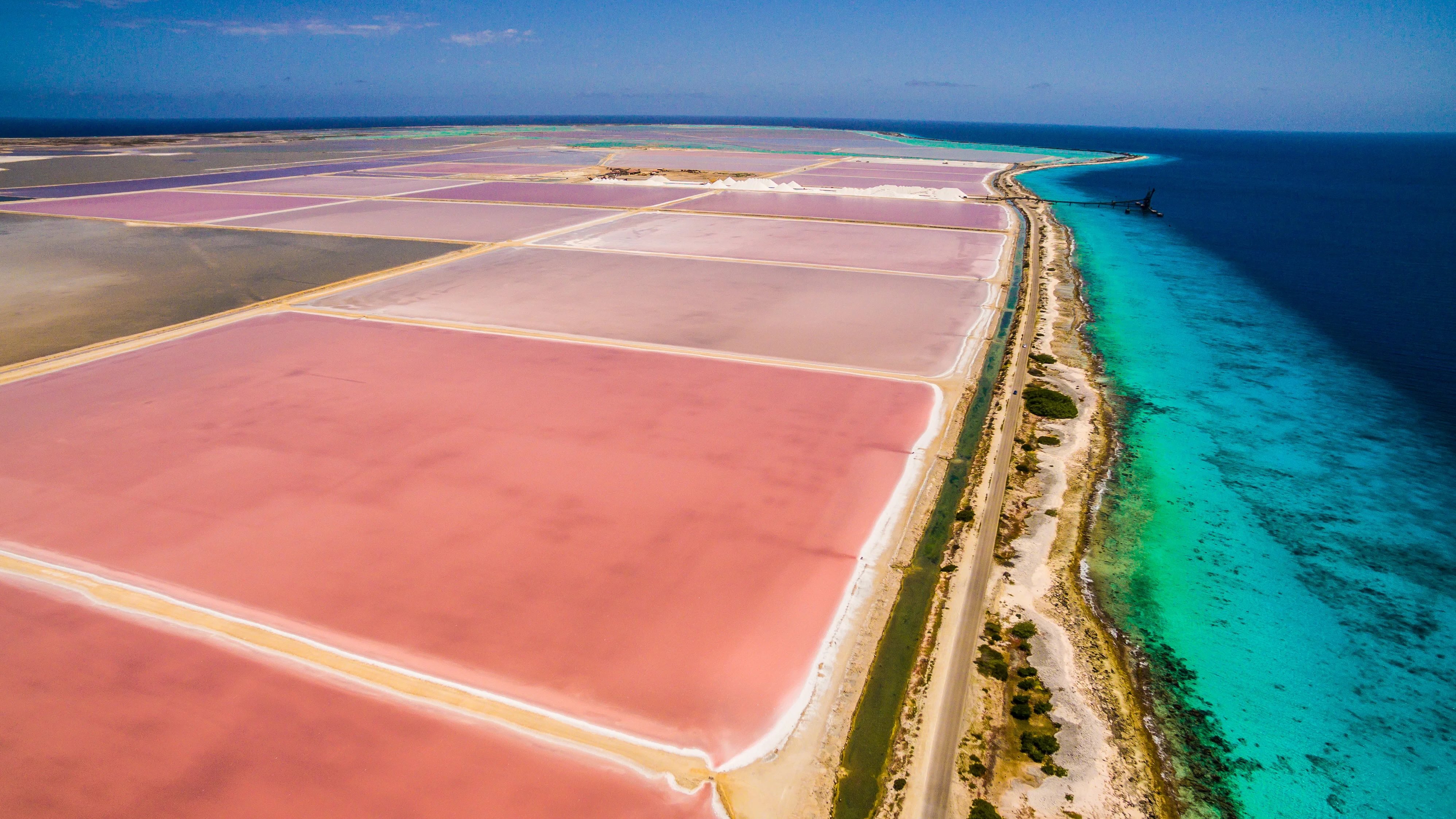 Bonaire saltmarker