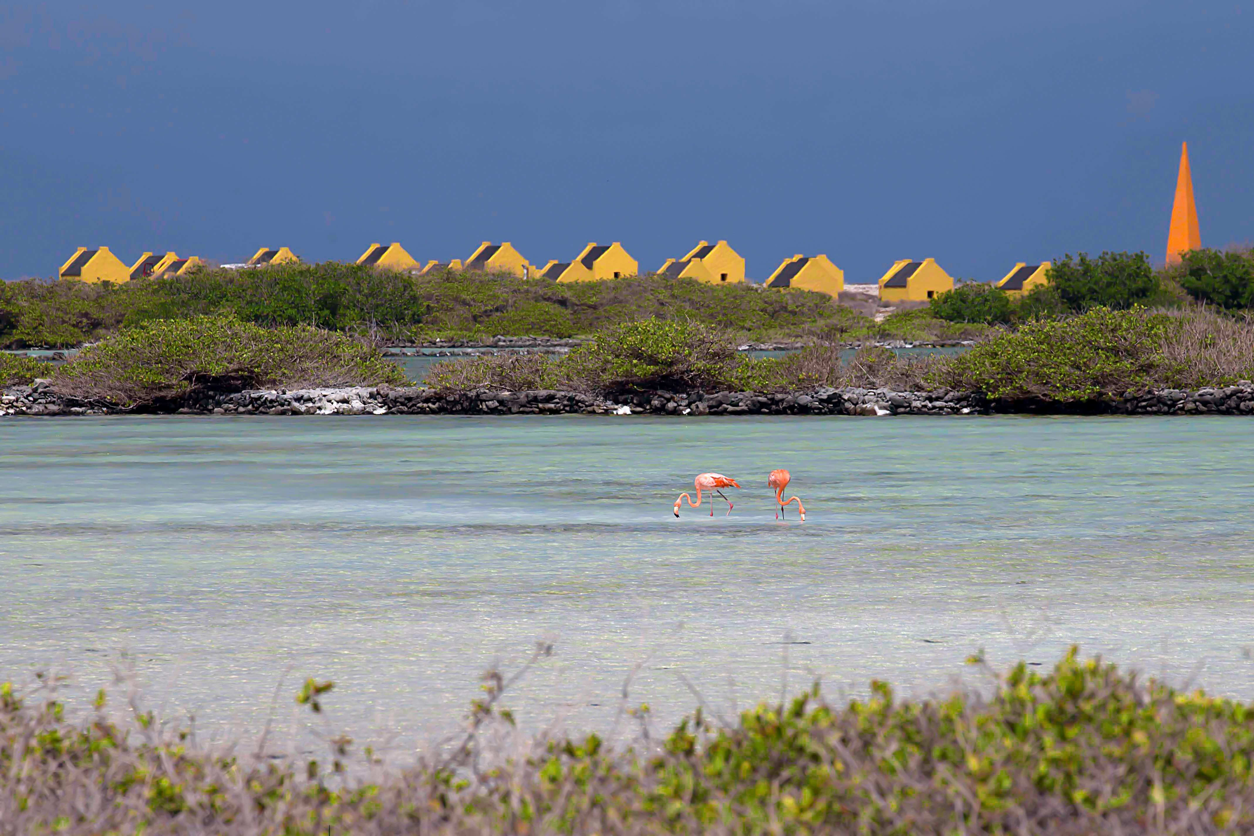 Bonaire, Washington Slagbaai National Park