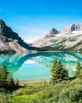 Bow Lake i Banff National Park
