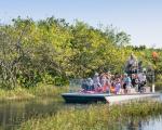 Everglades