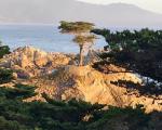 Monterey