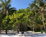 Cruise i Caribien