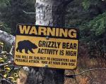 alaska-denali-national-park-grizzly-warning