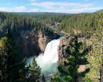 guide-til-yellowstone-national-park-grand-canyon-of-the-yellowstone-lower-falls