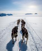 Alaskas vildmark