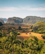 Vinales