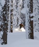 Tree skiing Lake Tahoe