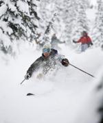 Lokala Kunskaper Revelstoke