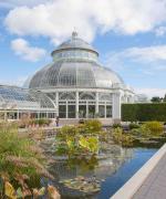 New York Botanisk have