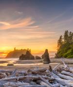 ruby beach olympic national park